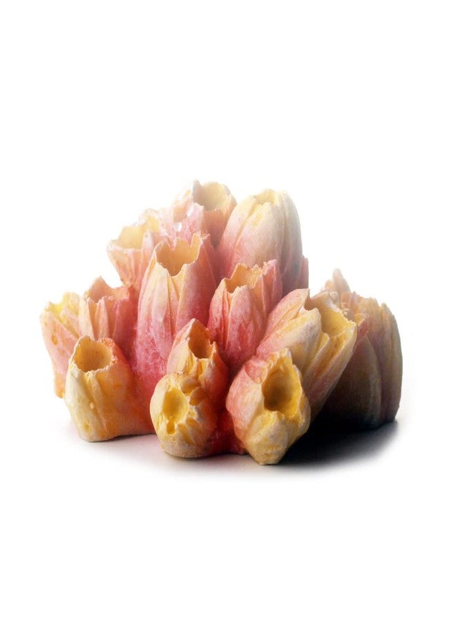 Petta Resin Coral Plant Decorations Artificial Ornament Decor Resin Colorful Coral Reef Decoration Accessories for Betta Fish Tank Aquarium Landscape,Medium,1 Pcs - Image 1